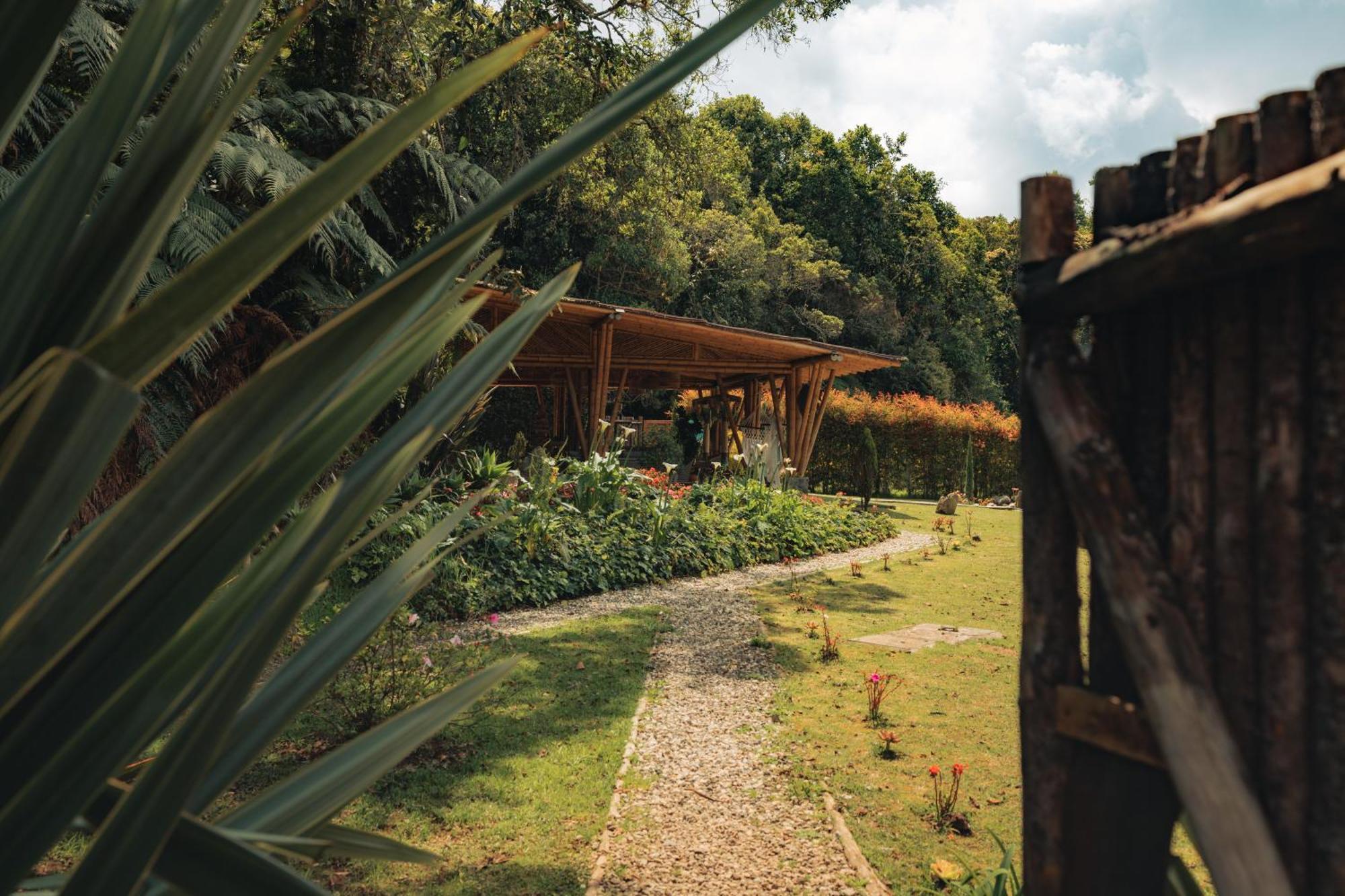 Bubblesky Glamping 15 Min From Medellin Hotel Rionegro Exterior foto