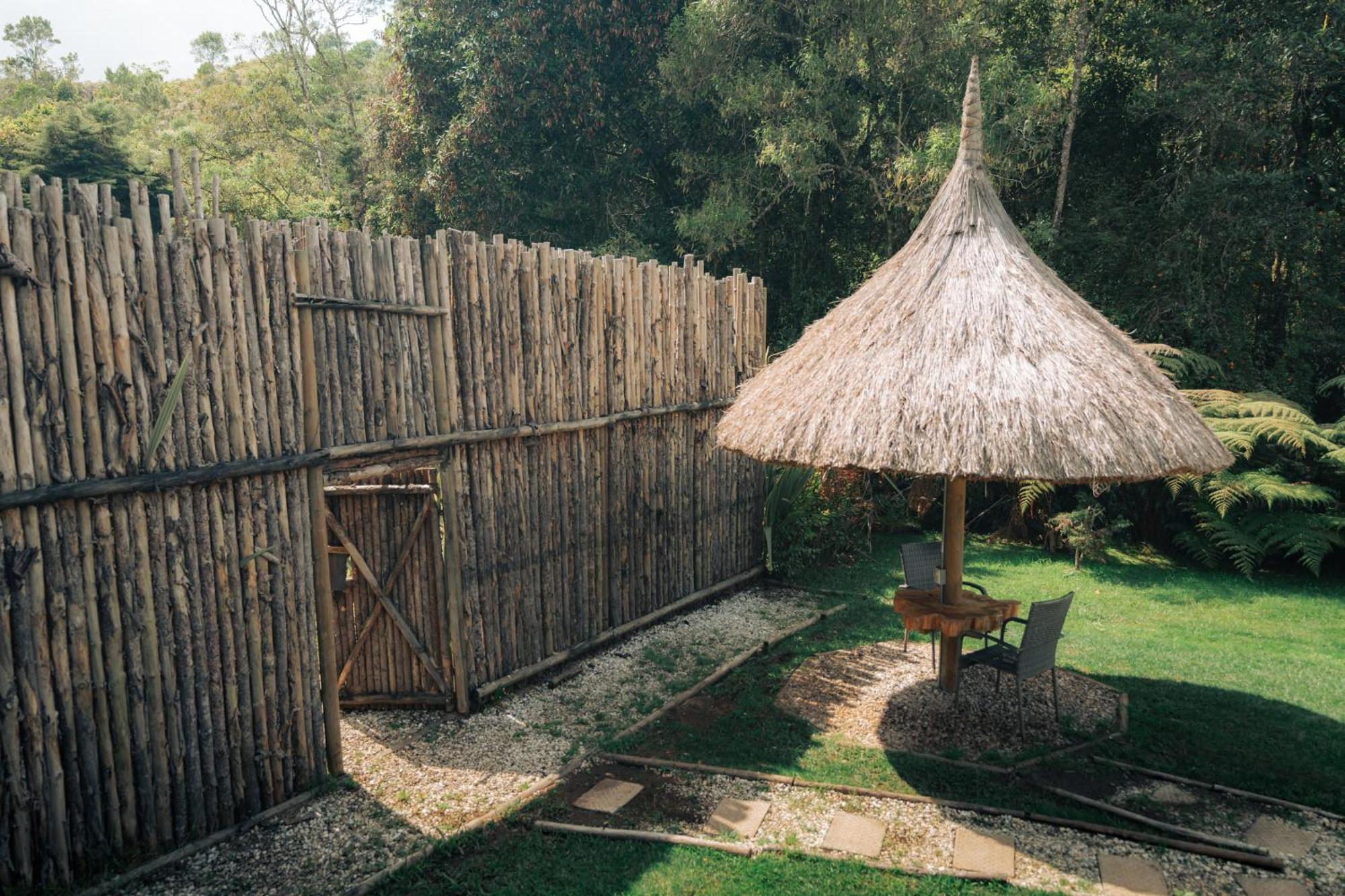 Bubblesky Glamping 15 Min From Medellin Hotel Rionegro Exterior foto