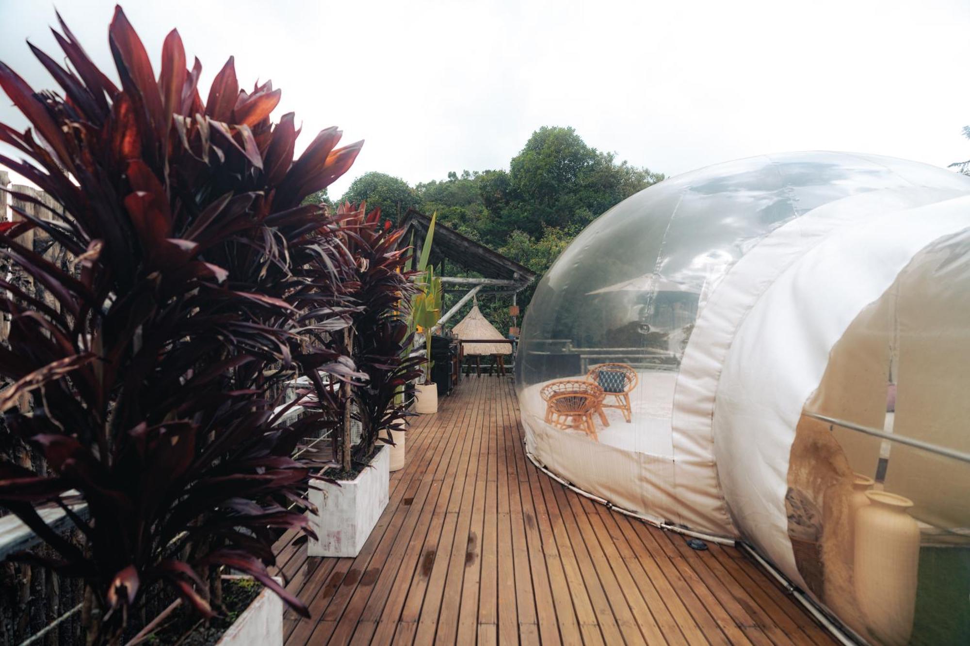 Bubblesky Glamping 15 Min From Medellin Hotel Rionegro Exterior foto
