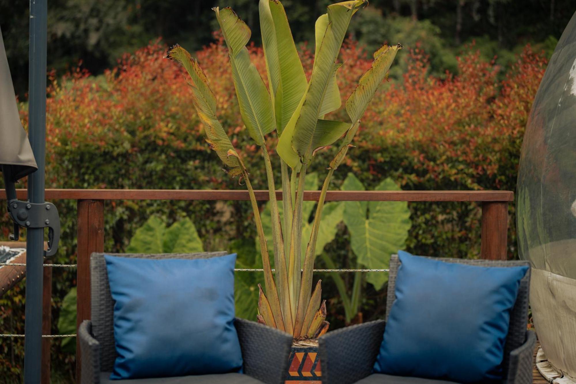 Bubblesky Glamping 15 Min From Medellin Hotel Rionegro Exterior foto